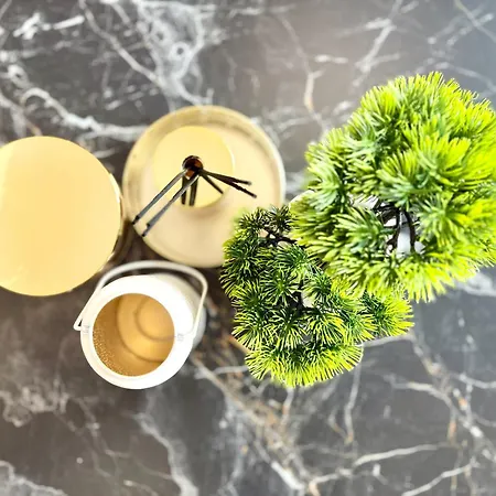 아파트 2br In Centre